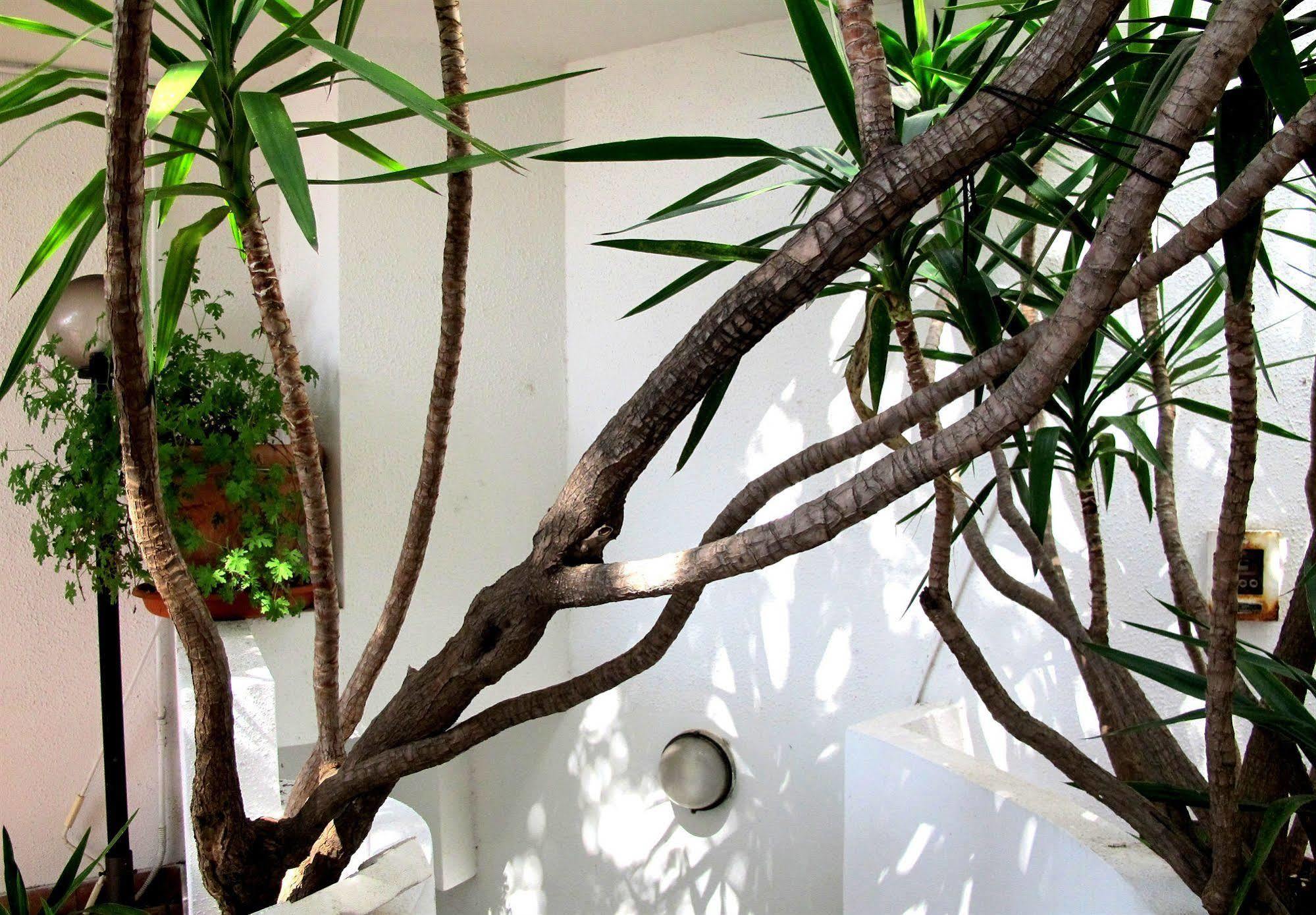 Hotel Pop Cala Gonone Exterior foto